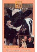 Daniels, Lucy - Calf in the Cottage