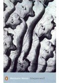 Hermann Hesse - Steppenwolf