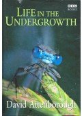 Attenborough, David - Life in the Undergrowth
