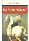 Theodor Storm - Der Schimmelreiter