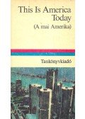 Lengyel Gabriella (főszerk.) - This Is America Today