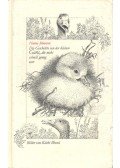 JOHANSEN, HANNA - Die Geschichte von der kleinen Gans, die nicht schell genug war