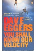 Dave Eggers - You Shall Know Our Velocity