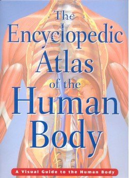  - The Encyclopedic Atlas of the Human Body  - A Visual Guide to the Human Body, null 2004 antikvár könyv