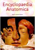 Monica v. Düring,DIDI-HUBERMAN, GEORGES,Marta Poggesi - Encyclopaedia Anatomica – A Collection of Anatomical Waxes