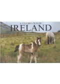 Anderson, Janice - A Celebration of Ireland
