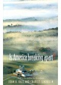 John A. Hall,Charles Lindholm - Is America Breaking Apart?