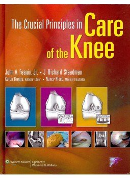 FEAGIN, JOHN A. - STEADMAN, J. RICHARD - The Crucial Principles in Care of the Knee, null 2009 antikvár könyv