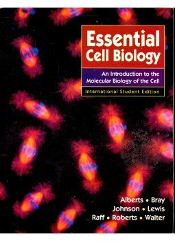 ALBERTS, BRUCE - Essential Cell Biology International Student Edition ALBERTS, BRUCE - Essential Cell Biology International Student Edition, null 1998 antikvár könyv