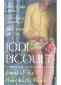Jodi Picoult - Songs of the Humpback Whale