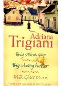Adriana Trigiani - Big Stone Gap, Big Cherry Holler, Milk Glass Noon
