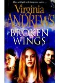 ANDREWS, VIRGINIA - Broken Wings
