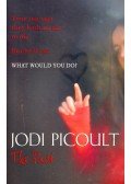 Jodi Picoult - The Pact