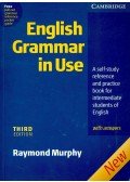 Raymond Murphy - English Grammar in Use - with answers