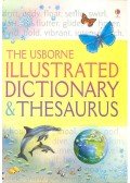 BINGHAM, JANE - CHANDLER, FIONA - The Usborne Illustrated Dictionary & Thesaurus