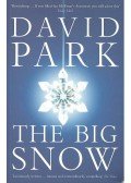 PARK, DAVID - The Big Snow