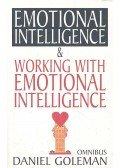 Daniel Goleman - Emotional Intelligence & Working With Emotional Intelligence