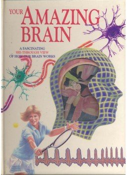 Bryan, Jenny - Your Amazing Brain - A Fascinating See-Through View of How Our Brain Works, null 0 antikvár könyv