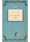 Eric Knight - Sam Small Flies Again