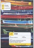 SÉ, DIARMUID Ó - SHEILS, JOSEPH - Teach Yourself Irish