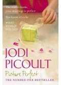 Jodi Picoult - Picture Perfect