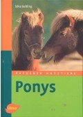 Silke Behling - Ponys