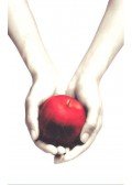 Stephenie Meyer - Twilight