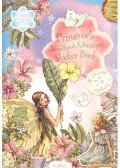 BARKER, CICELY MARY - Flower Fairies - Primrose's Woodland Adventure Sticker Book