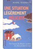 Mark Haddon - Une situation légèrement délicate