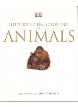 David Burnie - DK Illustrated Encyclopedia of Animals David Burnie - DK Illustrated Encyclopedia of Animals, null 2008 antikvár könyv