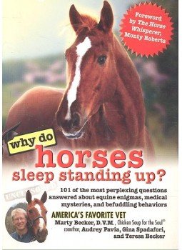 Becker, Marty - Why Do Horses Sleep Standing Up? - 101 of the Most Perplexing Questions Answered About Equine Enigmas, Medical Mysteries, and Befuddling Behaviors, null 2007 antikvár könyv