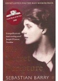 Sebastian Barry - The Secret Scripture