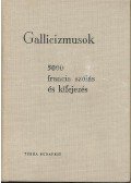 Végh Béla,Rubin Péter - Gallicizmusok