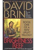 David Brin - Brightness Reef