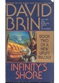 David Brin - Infinity's Shore