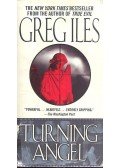 Greg Iles - Turning Angel