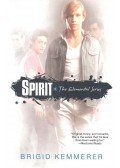 Brigid Kemmerer - Spirit