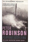 Peter Robinson - Playing with Fire