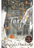 Amanda Hocking - Torn
