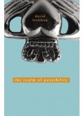 David Levithan - The Realm of Possibility
