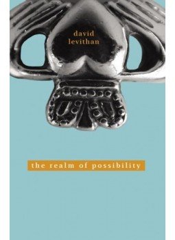 David Levithan - The Realm of Possibility David Levithan - The Realm of Possibility, null 2006 antikvár könyv