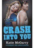 Katie McGarry - Crash into You