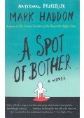 Mark Haddon - A Spot of Bother
