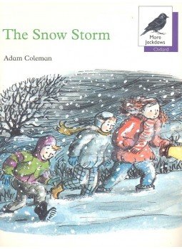 COLEMAN, ADAM - The Snow Storm COLEMAN, ADAM - The Snow Storm, 1992 antikvár könyv