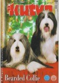Harcsás Márta (főszerk.) - A Kutya LXXI. évf. 2008/12