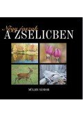 Müller Nándor - Négy évszak a Zselicben