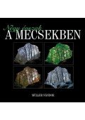 Müller Nándor - Négy évszak a Mecsekben
