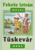 Fekete István - Tüskevár