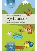 Dienes Zoltán Pál - Agykalandok - Dienes professzor játékai