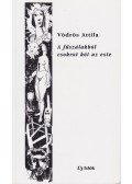 Vödrös Attila - A fűszálakból csokrot köt az este